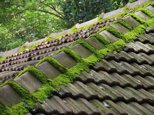 Démoussage de toiture à Mont-de-Marsan